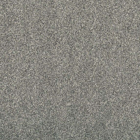 EverLux Carpet Swatch Tranquil Journey 645