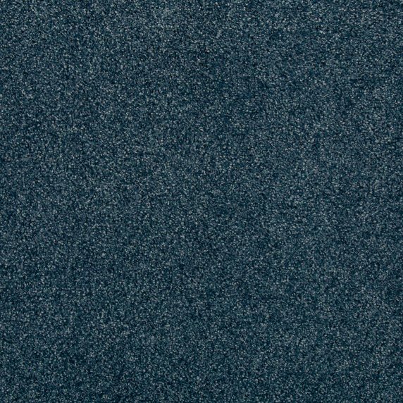 EverLux Carpet Swatch Tranquil Journey 576