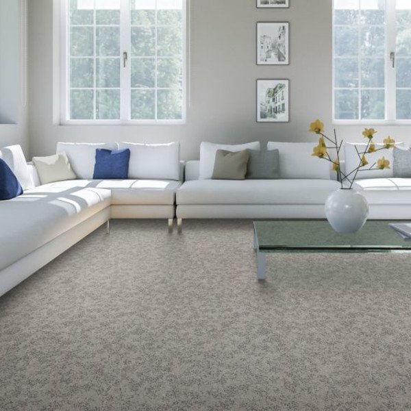 EverLux Inspiring Selection Nylon Carpet