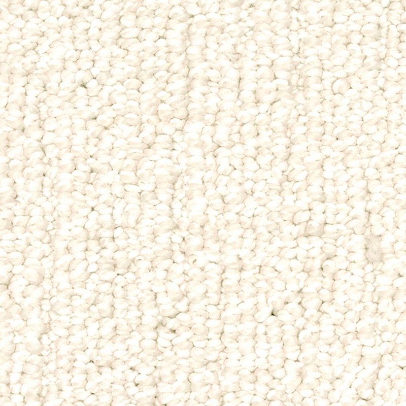 EverLux Carpet Swatch True North 700