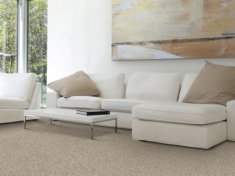 Light beige carpet flooring in a living room