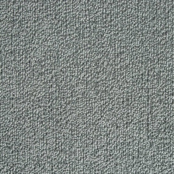 EverLux Carpet Swatch True North 610